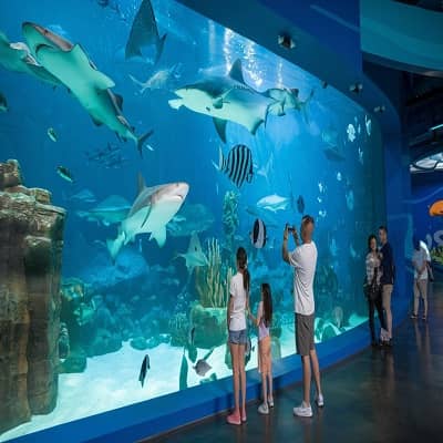 Sea World Abu Dhabi 2