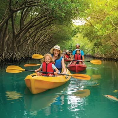 Kayak Mangrove Abu Dhabi 2