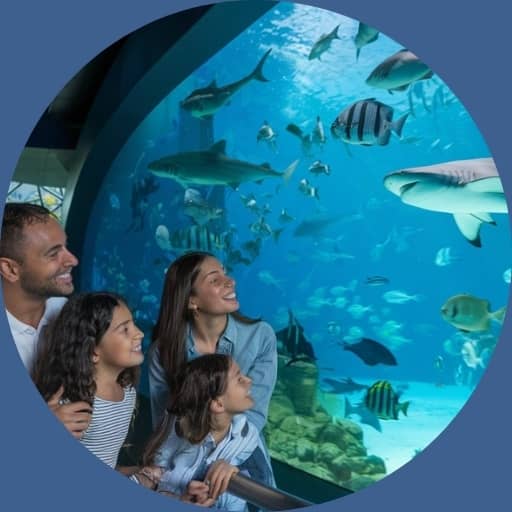 The National Aquarium Abu Dhabi1 1
